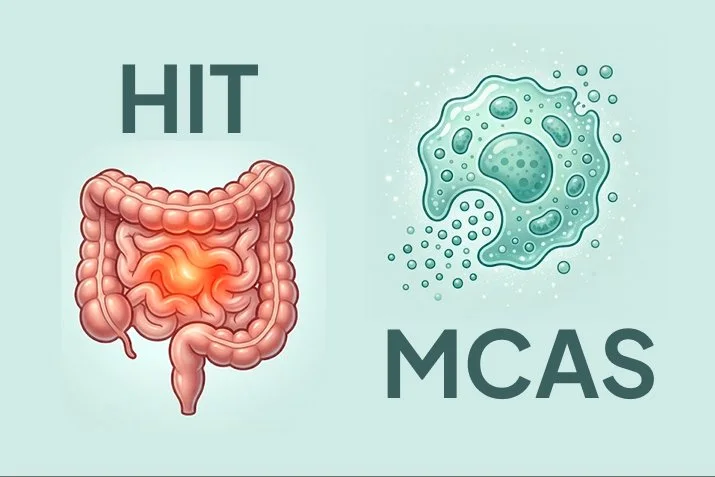 HIT and MCAS: similar symptoms, different mechanisms